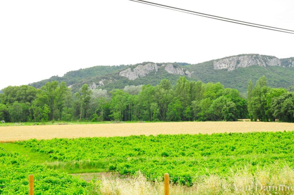 Gites Du Domaine Des Dames Vallon-Pont-dʼArc Exteriér fotografie